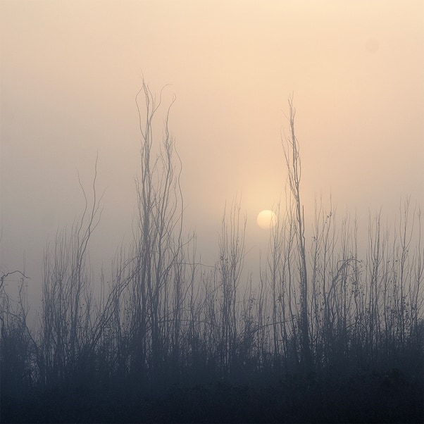 Piazzoli_Home_compartida_4